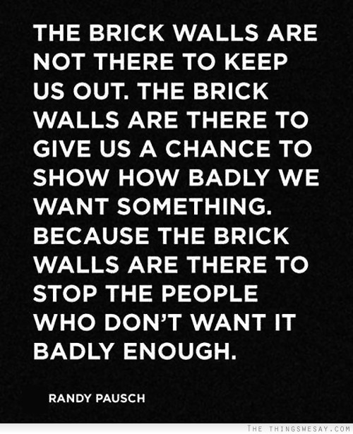 The brick walls are there to stop the people who don't want it badly enough