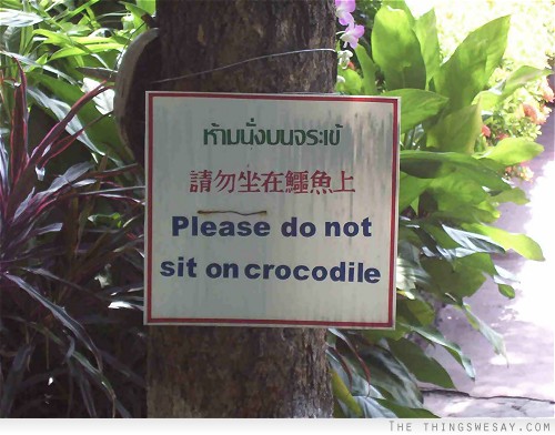 Please do not sit on crocodile