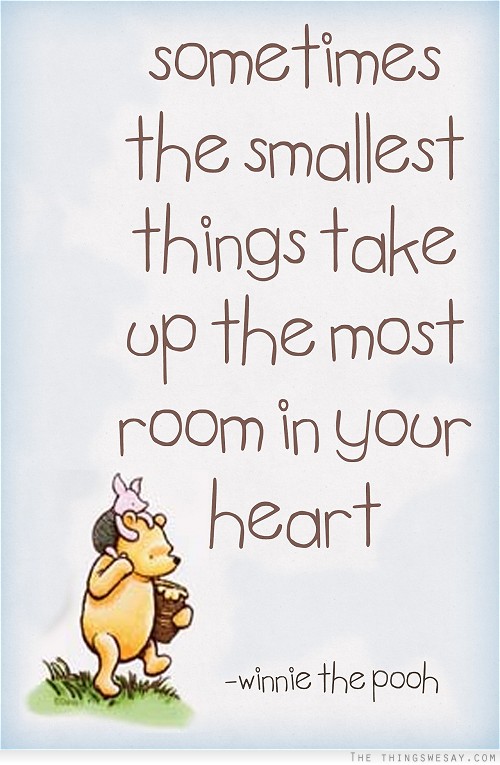 Sometimes the smallest things take up the most room in your heart