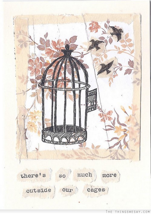 There's so much more outside our cages