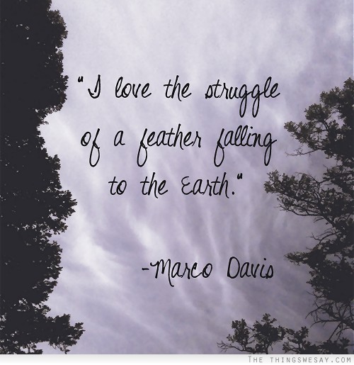 I love the struggle of a feather falling to the Earth