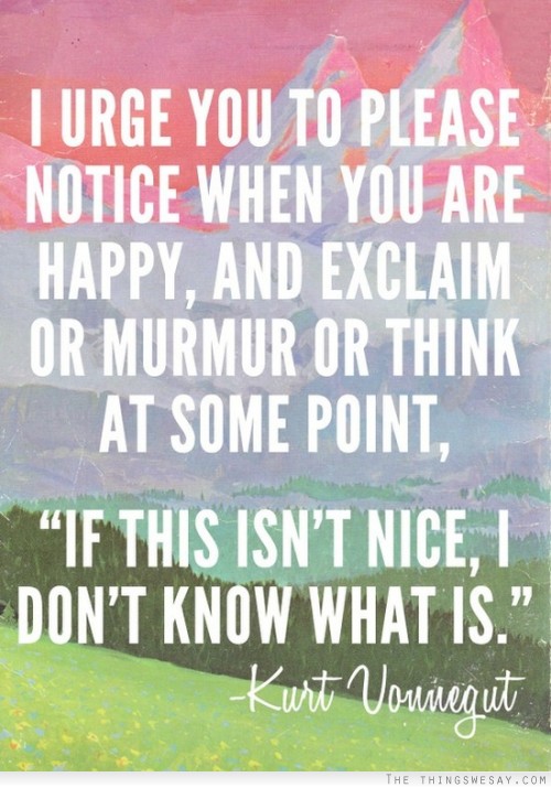 I urge you to please notice when you are happy and exclaim or murmur or think at some point if this isn't nice I don't know what is