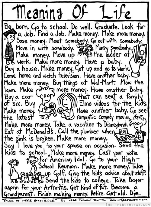 Meaning of life be born go to school do well graduate look for a job find a job make money make more money