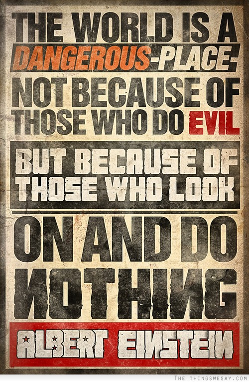 The world is a dangerous place not because of those who do evil but because of those who look on and do nothing