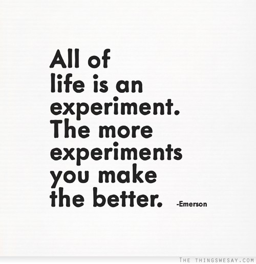 All of life is an experiment the more experiments you make the better