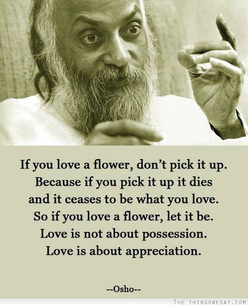 If you love a flower don't pick it up because if you pick it up it dies and it ceases to be what you love