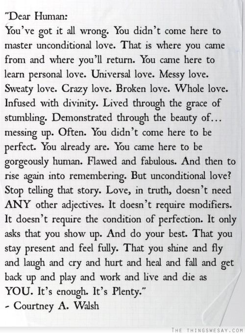 Love in truth doesn't need any other adjectives it doesn't require modifiers it doesn't require the condition of perfection it only asks that you show up and do your best