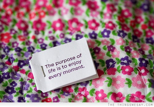The purpose of life is to enjoy every moment
