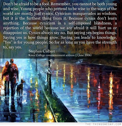 Don't be afraid to be a fool remember you cannot be both young and wise young people who pretend to be wise to the ways of the world are mostly just cynics
