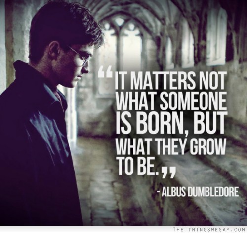 It matters not what someone is born but what they grow to be