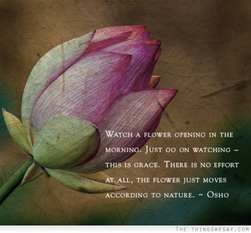 Watch a flower opening in the morning just go on watching this is grace there is no effort at all the flower just moves according to nature