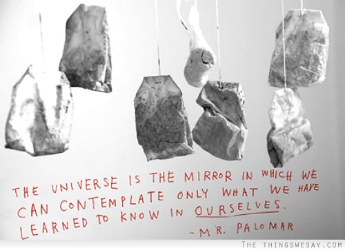 The universe is the mirror in which we can contemplate only what we have learned to know in ourselves