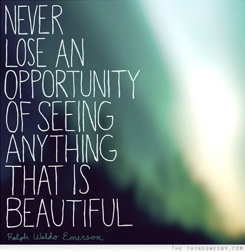 Never lose an opportunity of seeing anything that is beautiful