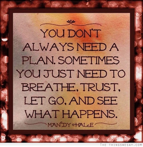 You don't always need a plan sometimes you just need to breathe trust let go and see what happens