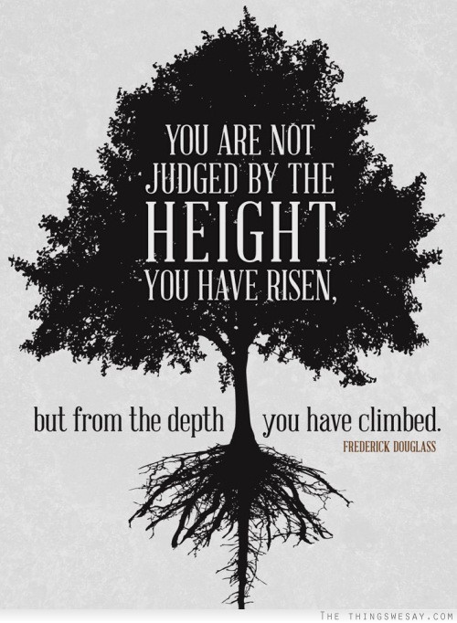 You are not judged by the height you have risen but from the depth you have climbed