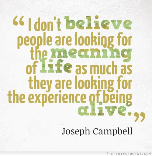 I don't believe people are looking for the meaning of life as much as they are looking for the experience of being alive