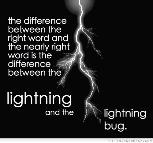 The difference between the right word and the nearly right word is the difference between the lightning and the lightning bug