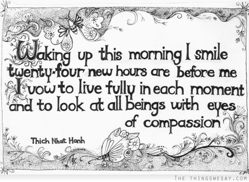 Waking up this morning I smile twenty-four new hours are before me I vow to live fully in each moment and to look at all beings with eyes of compassion