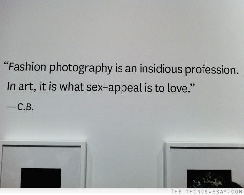 Fashion photography is an insidious profession in art it is what sex-appeal is to love