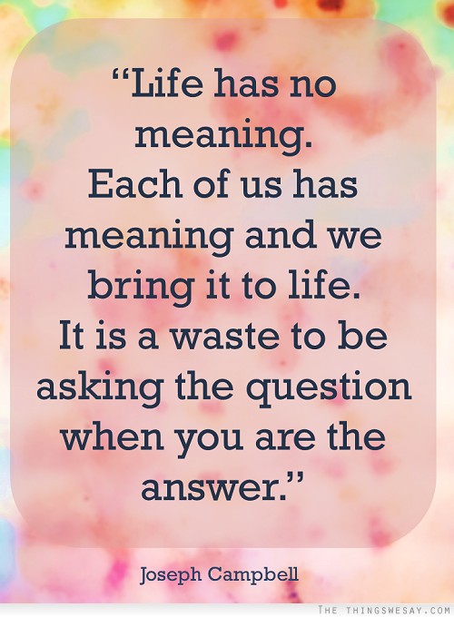 Life has no meaning each of us has meaning and we bring it to life it is a waste to be asking the question when you are the answer