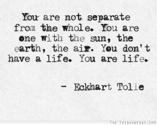 You are not separate from the whole you are one with the sun the earth the air you don't have a life you are life