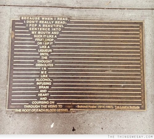 Because when I read I don't really read I pop a beautiful sentence into my mouth and suck it like a fruit drop or I sip it like a liqueur until the thought dissolves in me like alcohol