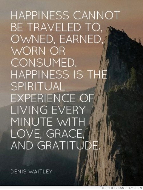 Happiness cannot be traveled to owned earned worn or consumed happiness is the spiritual experience of living every minute with love grace and gratitude