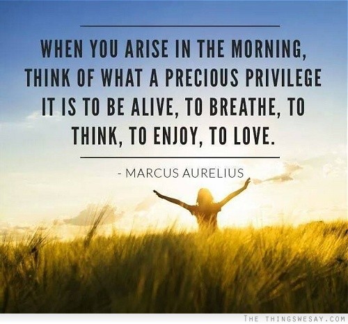 When you arise in the morning think of what a precious privilege it is to be alive to breathe to think to enjoy to love