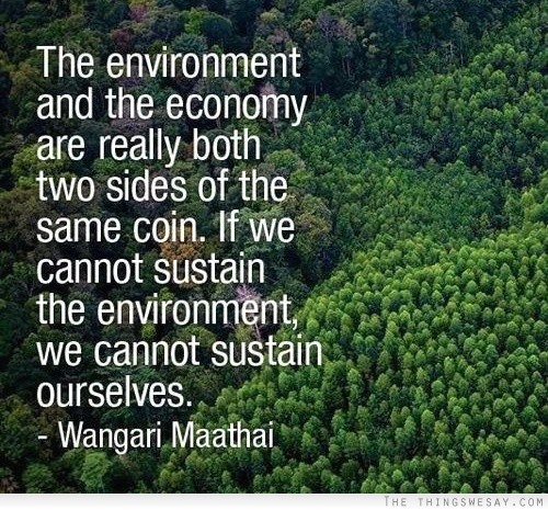 The environment and the economy are really both two sides of the same coin if we cannot sustain the environment we cannot sustain ourselves