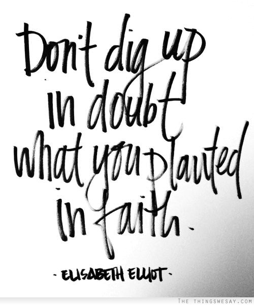 Don't dig up in doubt what you planted in faith