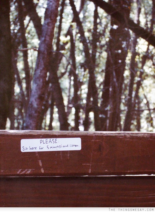 Please sit here for 5 minutes and listen