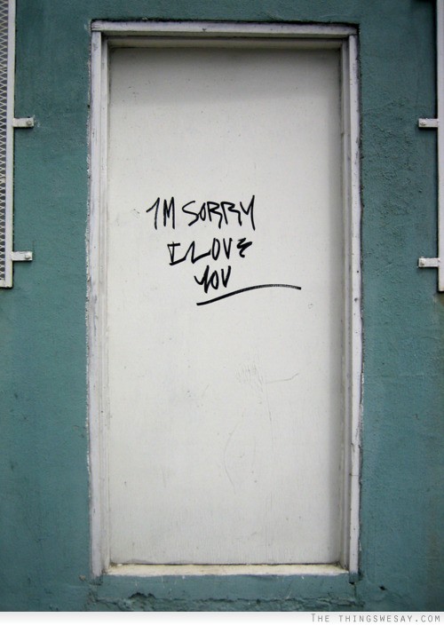 I'm sorry I love you