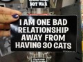 I am one bad relationship away from having 30 cats