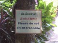 Please do not sit on crocodile