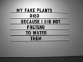 My fake plants died because I did not pretend to water them