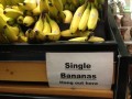 Single bananas hang out here