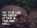 Try to be like the turtle at ease in your own shell