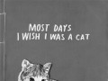 Most days I wish I was a cat