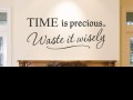 Time is precious waste it wisely