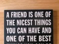 A friend is one of the nicest things you can have and one of the best things you can be