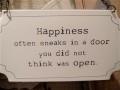 Happiness often sneaks in a door you did not think was open