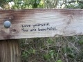 Love yourself you are beautiful