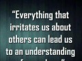 Everything that irritates us about others can lead us to an understanding of ourselves