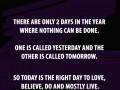 There are only 2 days in the year where nothing can be done one is called yesterday and the other is called tomorrow so today is the right day