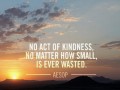 No act of kindness however small is ever wasted
