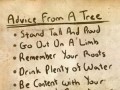 Advice from a tree